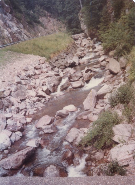 stream in schwarzwald