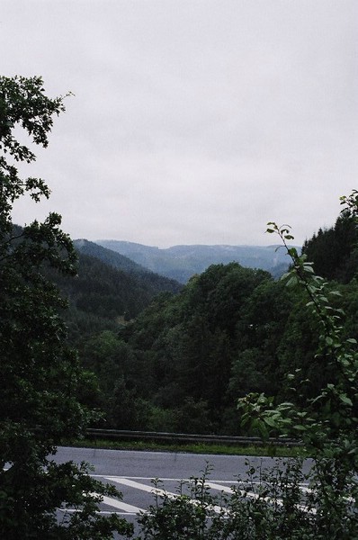 320-schwarzwald_forests.jpg