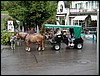21-horse_carriage_ride_neuschwanstein.jpg