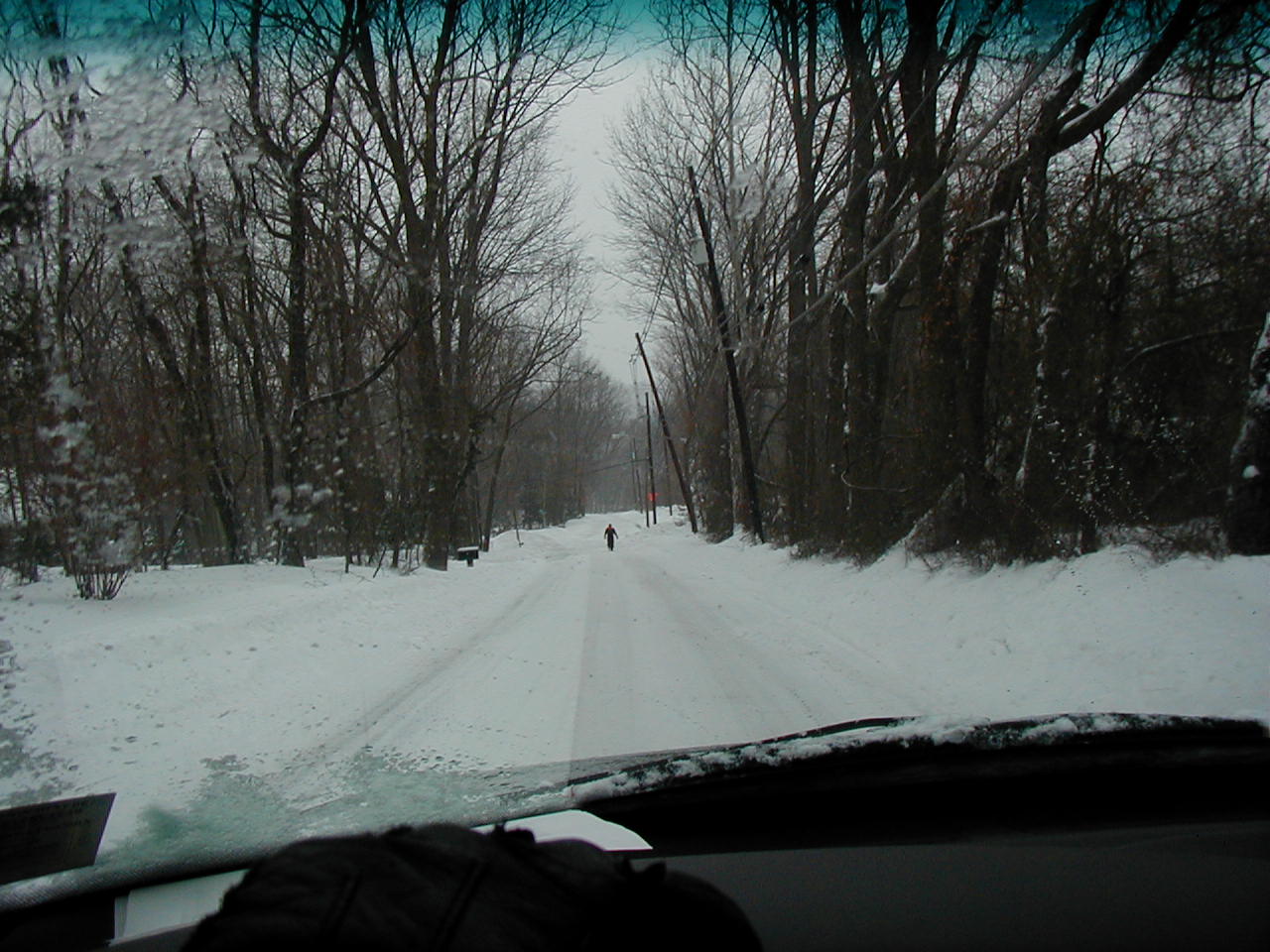 2003_snowstorm4-king_george_road.jpg