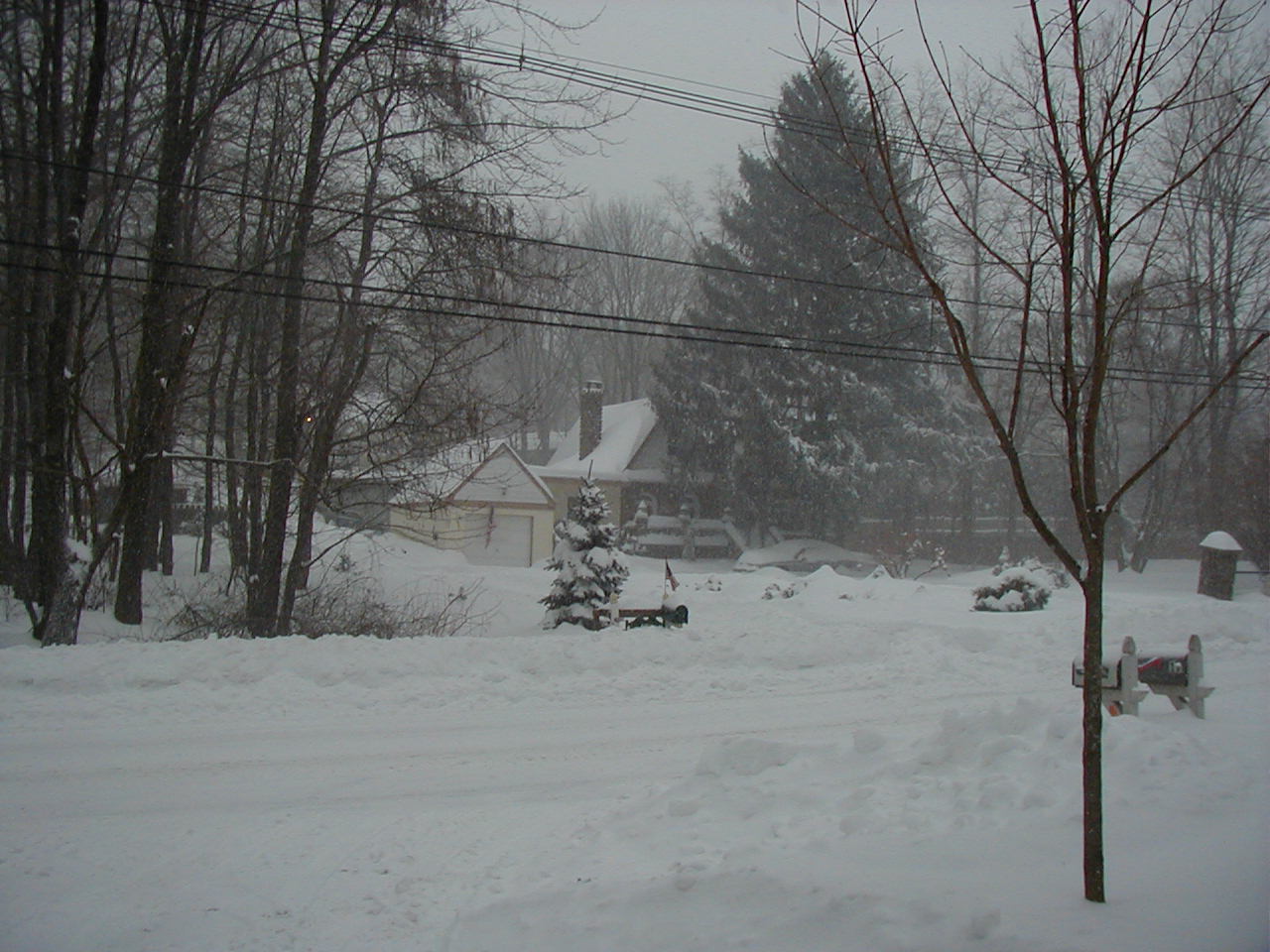 2003_snowstorm7-scarinzis.jpg