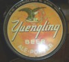 yuengling_old_beertray-sm.jpg